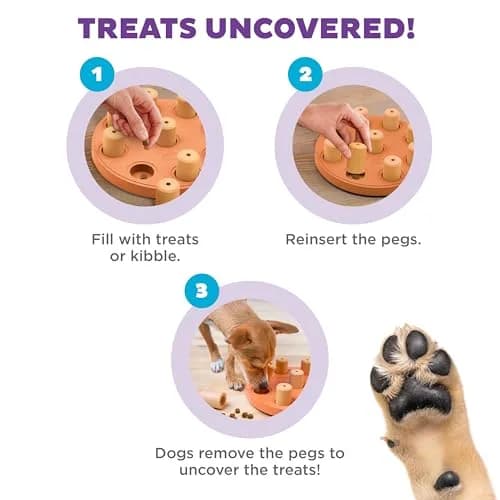 Outward Hound Dog Smart Treat Puzzle Toy Level 1 Beginner Orange Composite | Interactive Enrichment for Dogs thumbnail 3