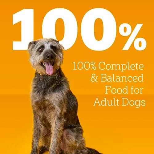 Pedigree Chopped Dinner Wet Dog Food, Chicken & Beef, 13.2 oz | Complete Adult Nutrition, Hydration Support thumbnail 4