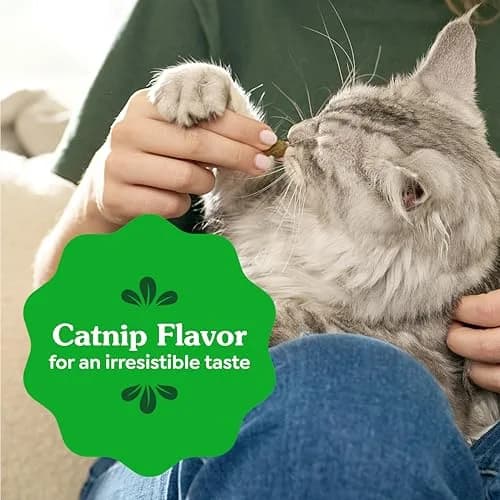 Greenies Feline Natural Dental Cat Treats Catnip Flavor 9.75 oz (276 g) | Vet-Recommended Oral Care thumbnail 8