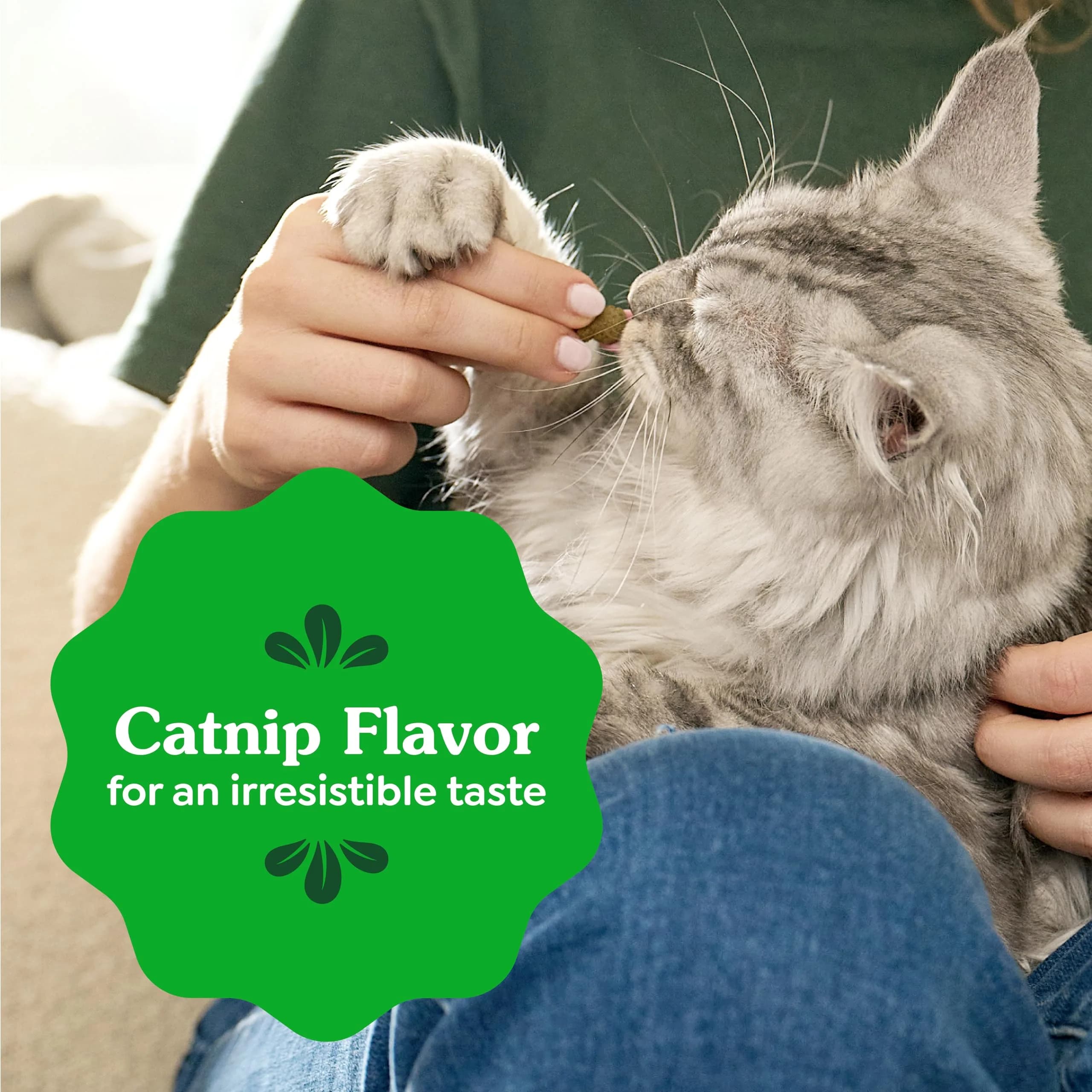 Greenies Feline Natural Dental Cat Treats Catnip Flavor 9.75 oz (276 g) | Vet-Recommended Oral Care - view 8