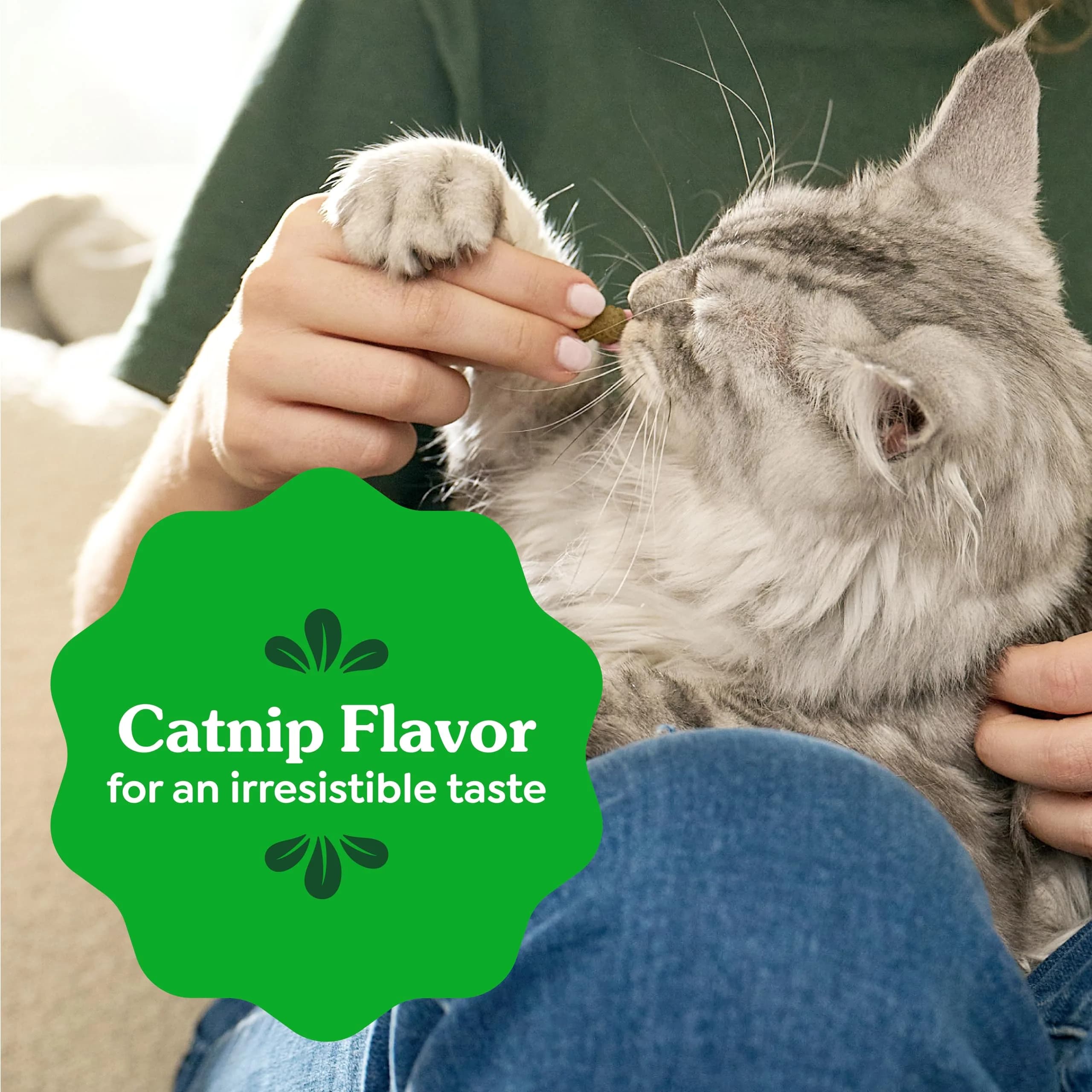 Greenies Feline Natural Dental Cat Treats, Catnip Flavor, 2.1 oz (60 g) | #1 Vet-Recommended Oral Care - view 8