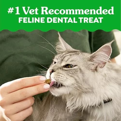 Greenies Feline Dental Cat Treats Roasted Chicken Flavor 130.4 g (4.6 oz) | Vet-Recommended Oral Care for Cats thumbnail 3