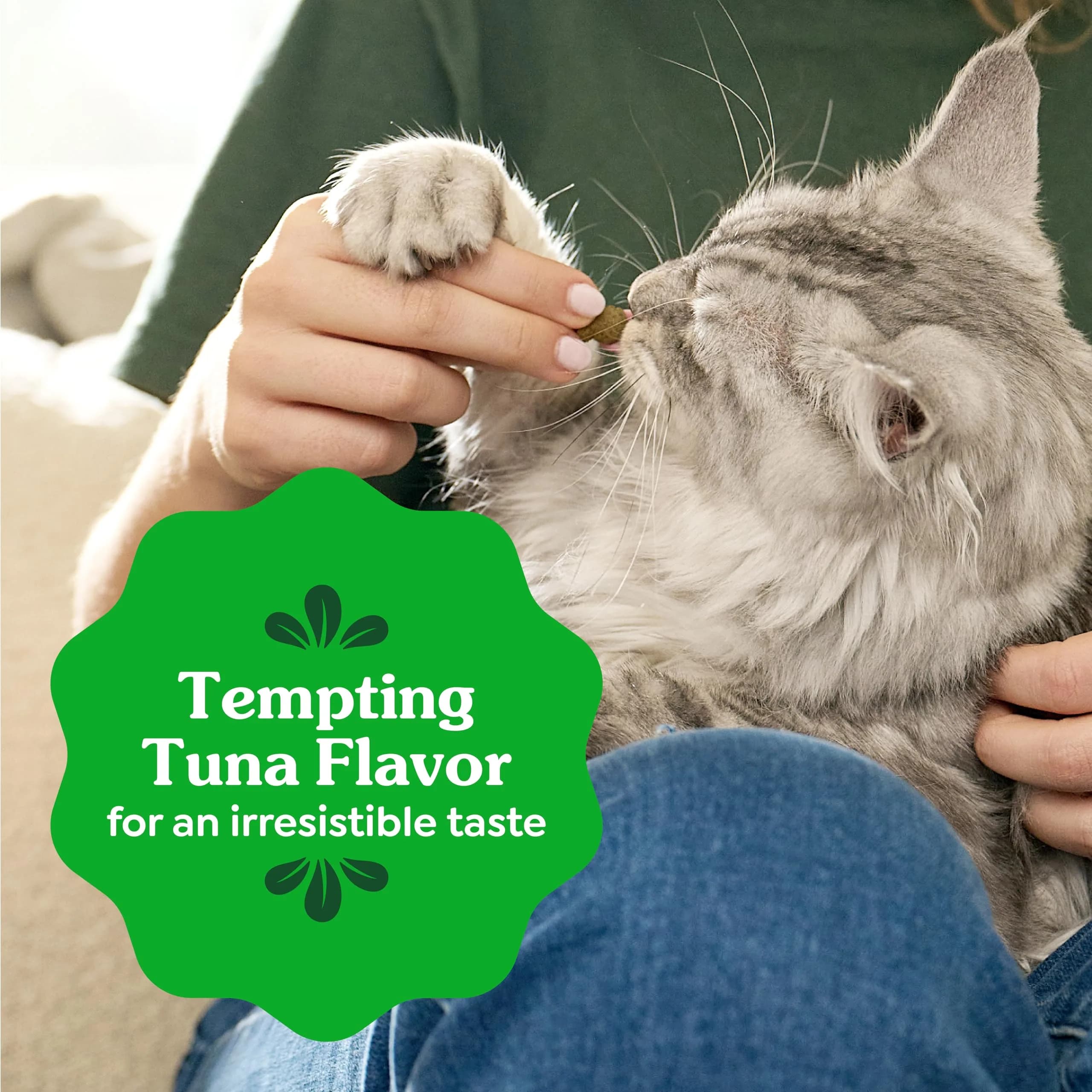 Greenies Feline Natural Dental Cat Treats, Tempting Tuna Flavor, 9.75 oz (276 g) | Vet-Recommended for Daily Dental Care - view 8