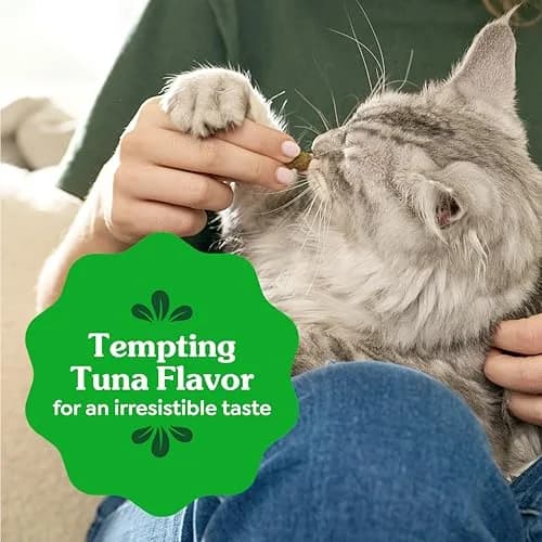 Greenies Feline Natural Dental Cat Treats, Tempting Tuna Flavor, 130.4 g (4.6 oz) | Vet-Recommended for Cat Dental Care thumbnail 8