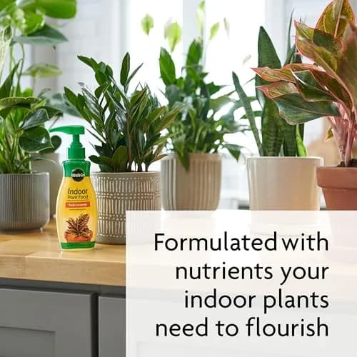 Miracle-Gro Liquid Fertilizer 8 oz | Indoor Plant Food for Houseplants, Snake Plants, Peace Lilies, Vegetables, Herbs, 2-Pack thumbnail 5