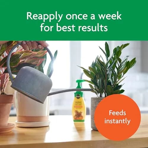 Miracle-Gro Liquid Fertilizer 8 oz | Indoor Plant Food for Houseplants, Snake Plants, Peace Lilies, Vegetables, Herbs, 2-Pack thumbnail 6