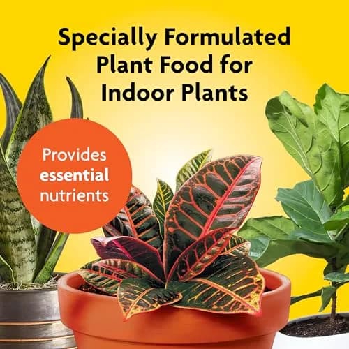 Miracle-Gro Liquid Fertilizer 8 oz | Indoor Plant Food for Houseplants, Snake Plants, Peace Lilies, Vegetables, Herbs, 2-Pack thumbnail 2