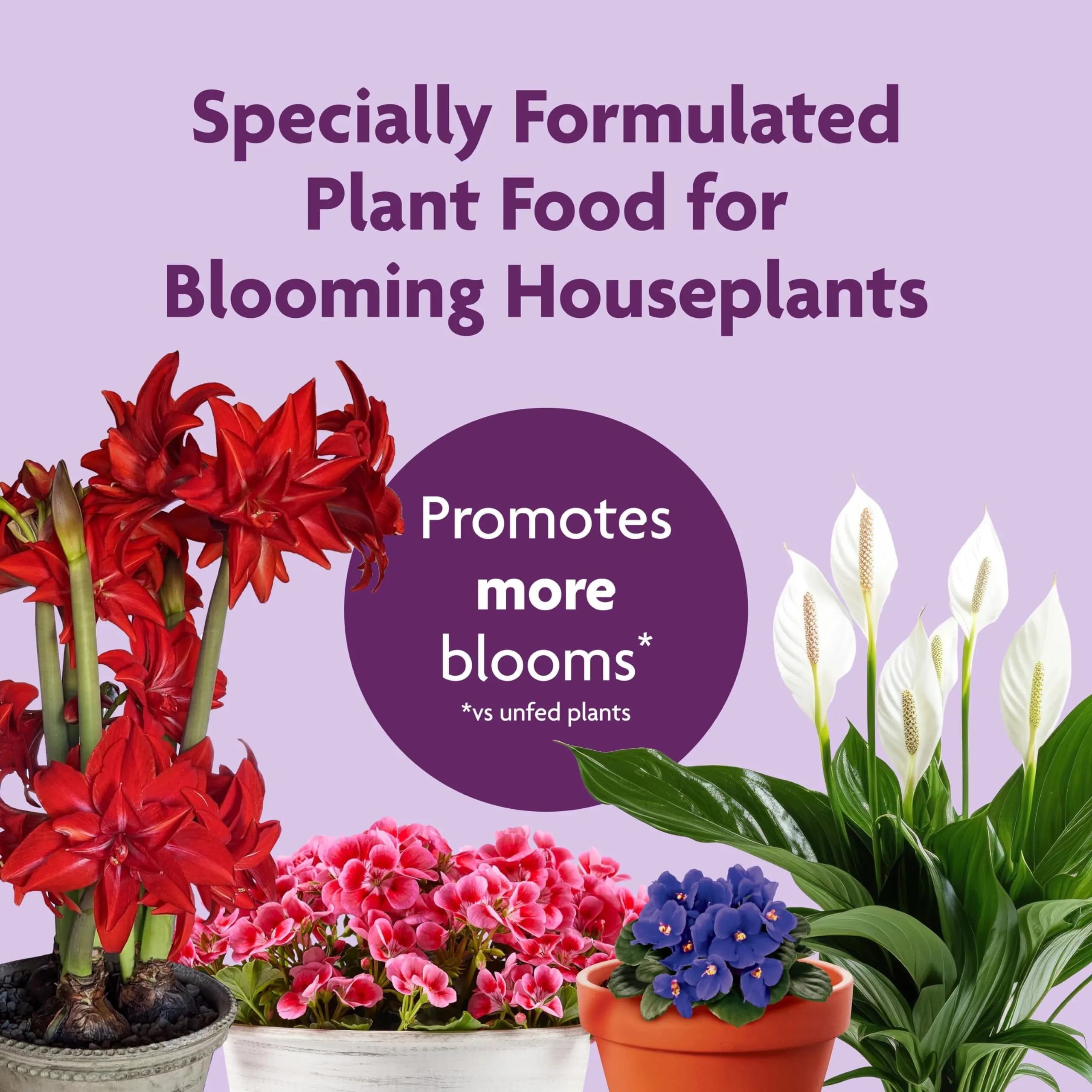 Miracle-Gro Blooming Houseplant Food, 2 Pack of 8 fl oz Bottles | For Instantly More Blooms - view 2