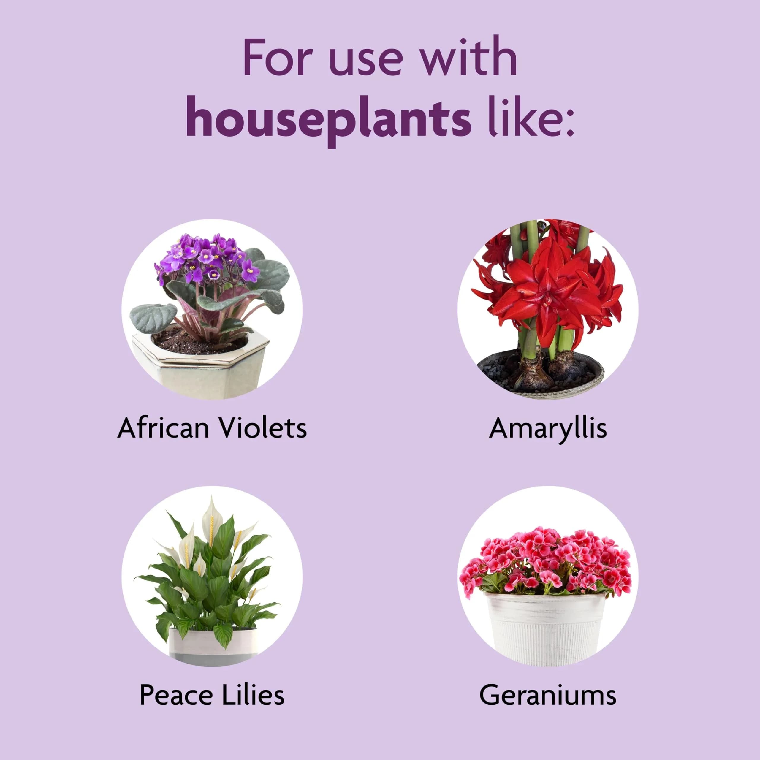 Miracle-Gro Blooming Houseplant Food, 2 Pack of 8 fl oz Bottles | For Instantly More Blooms - view 4