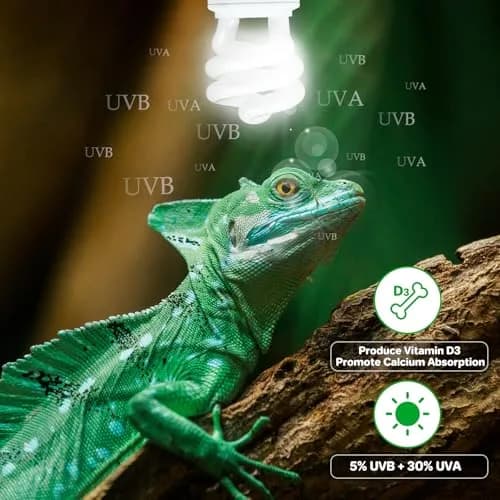 LUCKY HERP UVA UVB Reptile Light 5.0 15W | Tropical UVB 100 Compact Fluorescent Lamp for Lizards, Tortoises, Snakes thumbnail 6