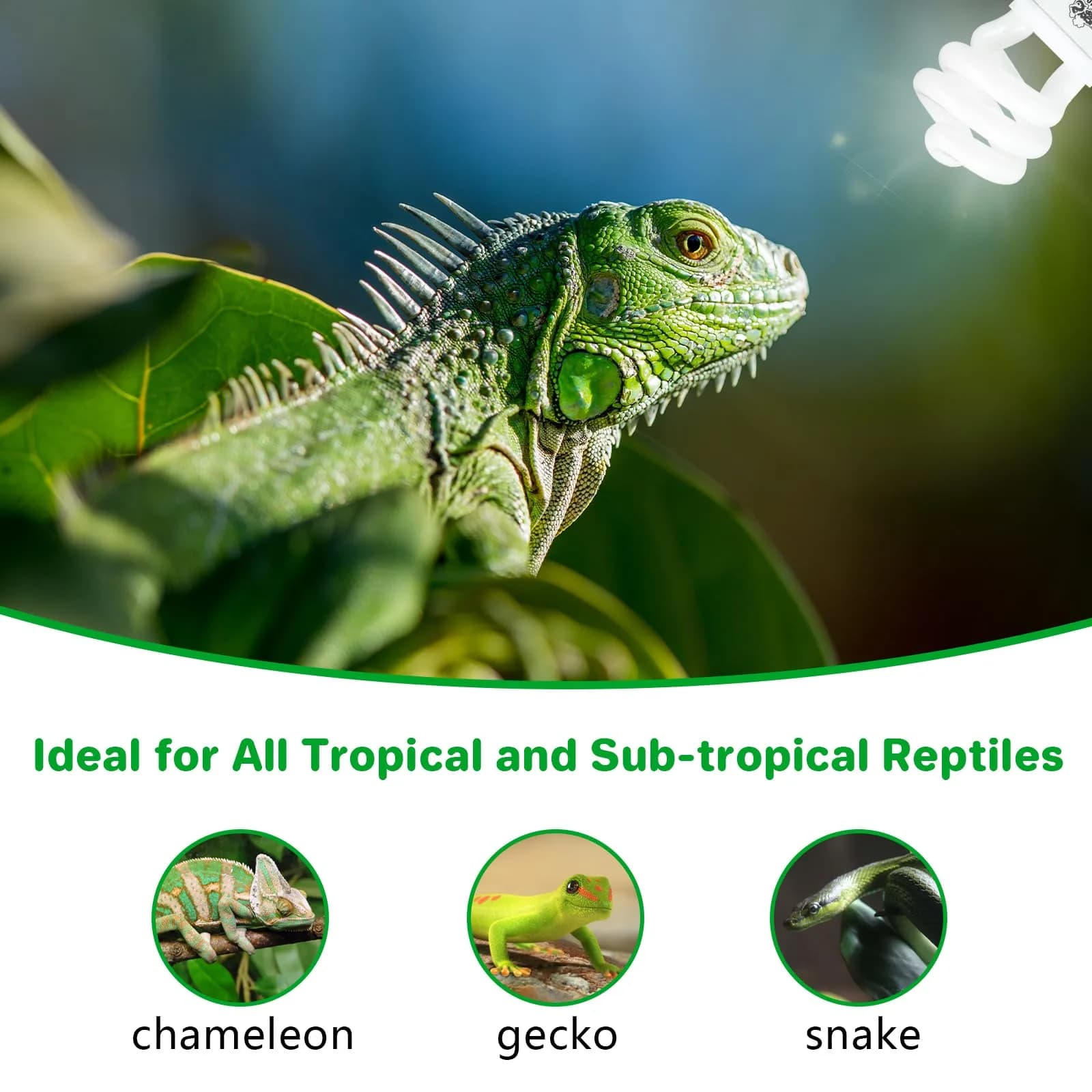 LUCKY HERP UVA UVB Reptile Light 5.0 15W | Tropical UVB 100 Compact Fluorescent Lamp for Lizards, Tortoises, Snakes - view 7
