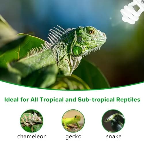 LUCKY HERP UVA UVB Reptile Light 5.0 15W | Tropical UVB 100 Compact Fluorescent Lamp for Lizards, Tortoises, Snakes thumbnail 7