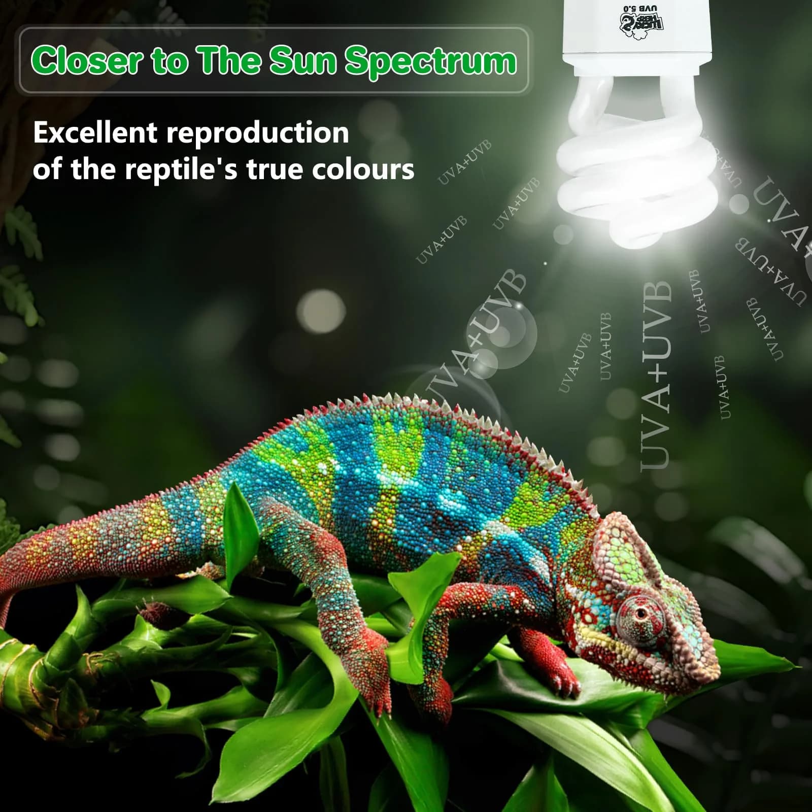 LUCKY HERP UVA UVB Reptile Light 5.0 15W | Tropical UVB 100 Compact Fluorescent Lamp for Lizards, Tortoises, Snakes - view 2