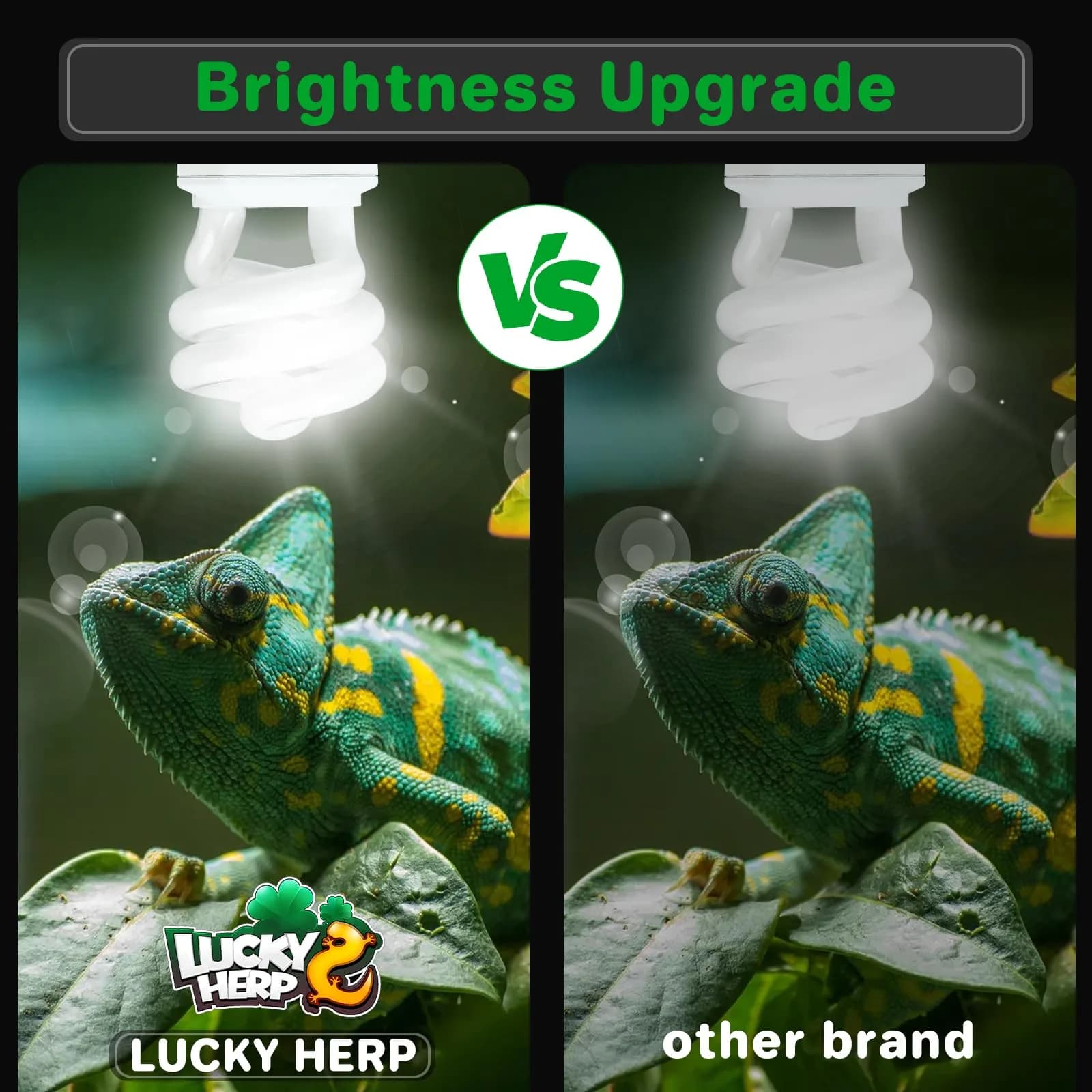 LUCKY HERP UVA UVB Reptile Light 5.0 15W | Tropical UVB 100 Compact Fluorescent Lamp for Lizards, Tortoises, Snakes - view 3