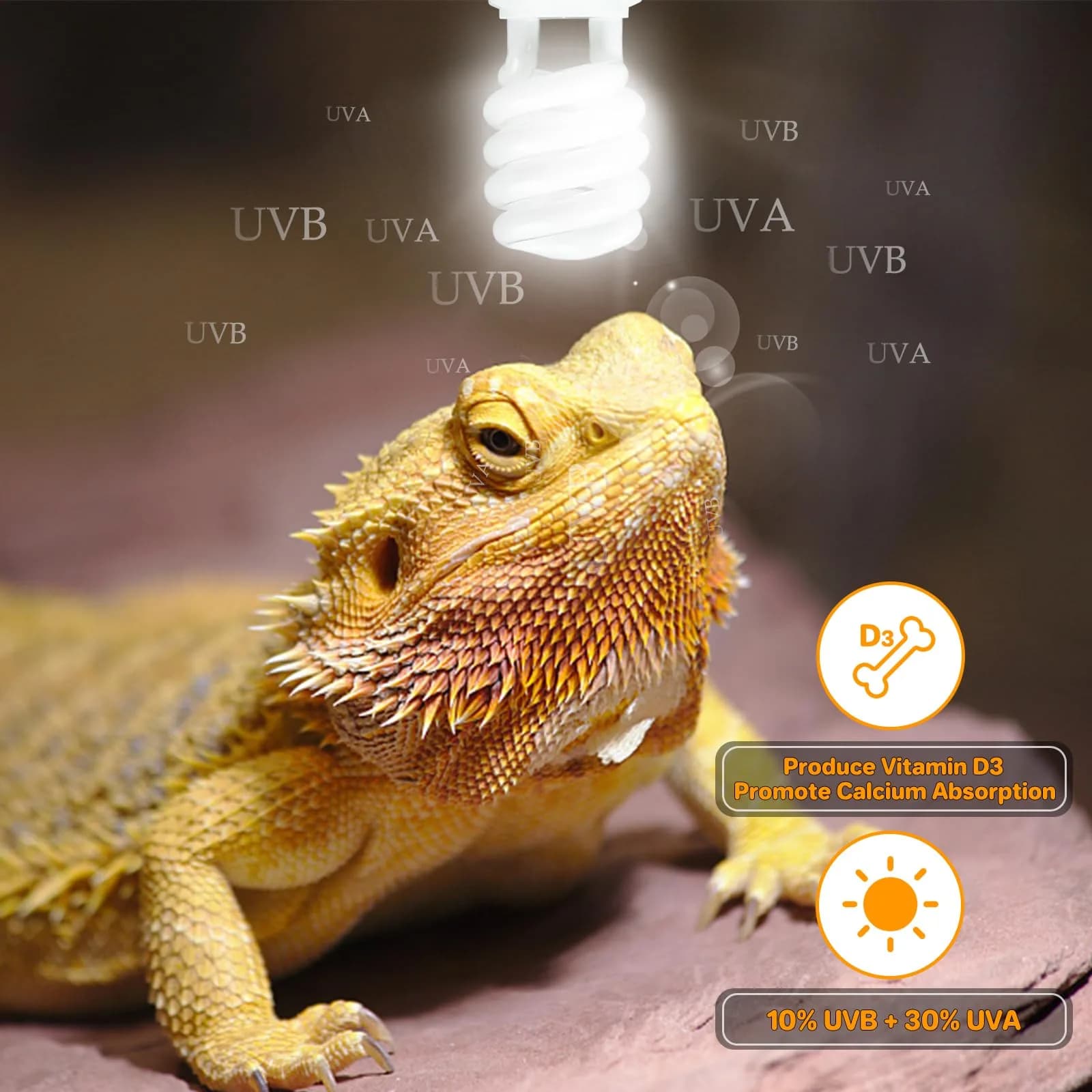 LUCKY HERP UVA UVB Reptile Light 10.0, 23W Compact Fluorescent Lamp | Essential Desert Reptile Lighting - view 6