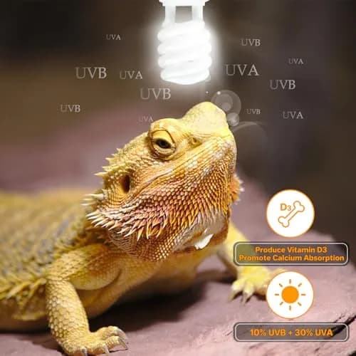 LUCKY HERP UVA UVB Reptile Light 10.0, 23W Compact Fluorescent Lamp | Essential Desert Reptile Lighting thumbnail 6