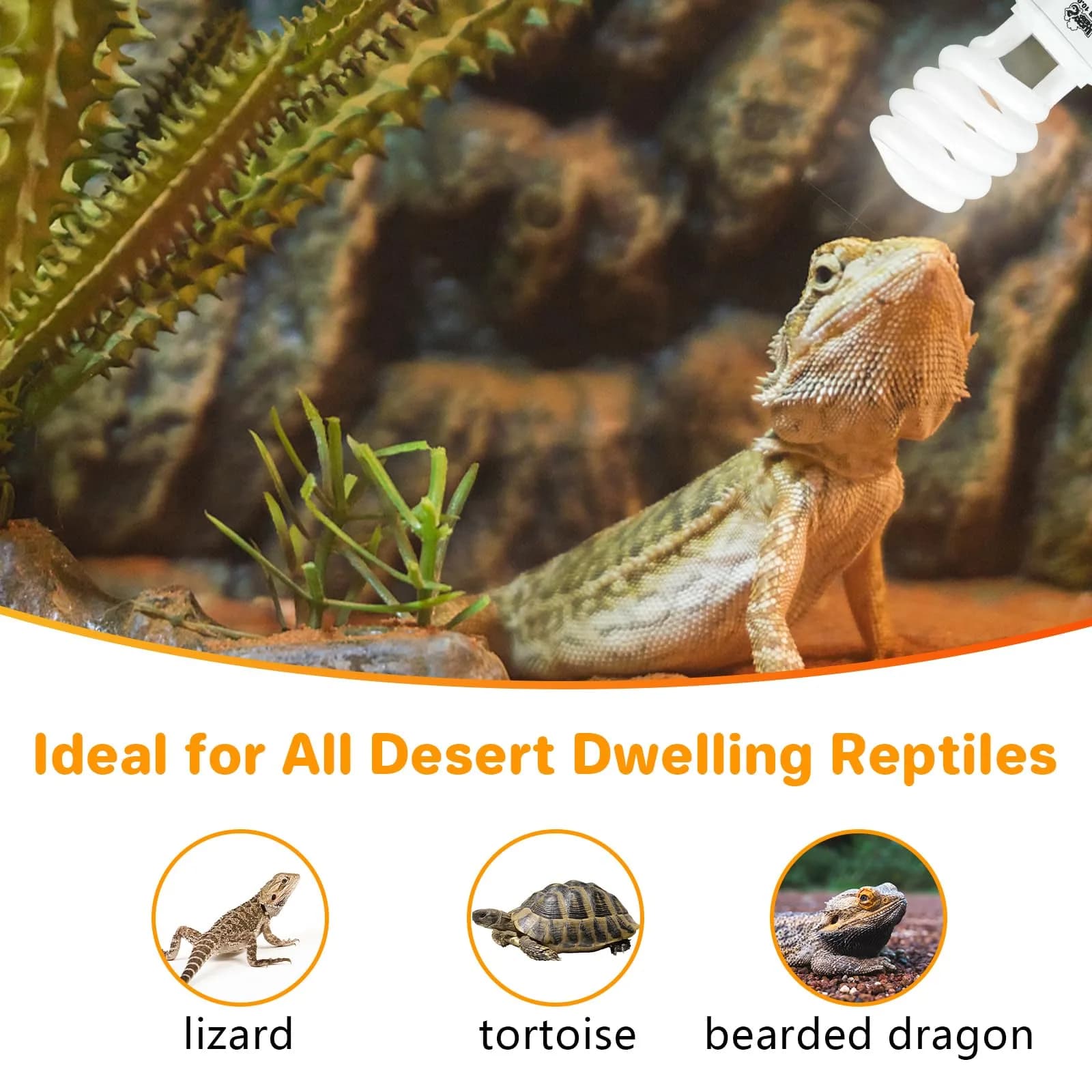 LUCKY HERP UVA UVB Reptile Light 10.0, 23W Compact Fluorescent Lamp | Essential Desert Reptile Lighting - view 7
