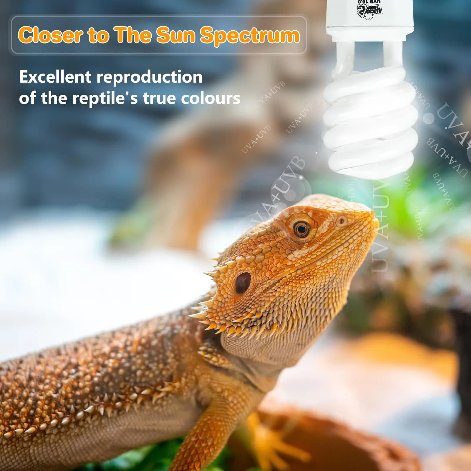 LUCKY HERP UVA UVB Reptile Light 10.0, 23W Compact Fluorescent Lamp | Essential Desert Reptile Lighting - view 2