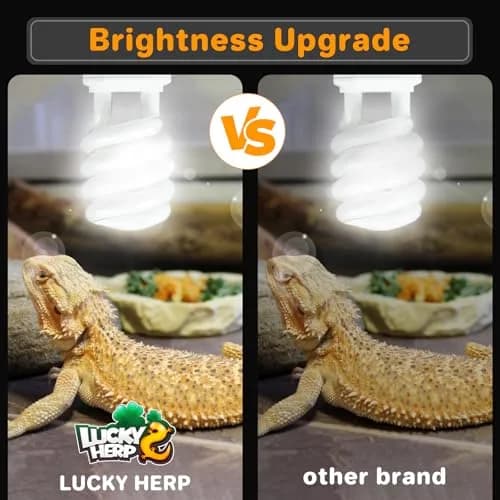 LUCKY HERP UVA UVB Reptile Light 10.0, 23W Compact Fluorescent Lamp | Essential Desert Reptile Lighting thumbnail 3