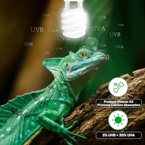 LUCKY HERP UVA UVB Reptile Light 5.0 23W 5% UVB 30% UVA 1265 Lumens | Essential for Reptile Health & Growth thumbnail 6