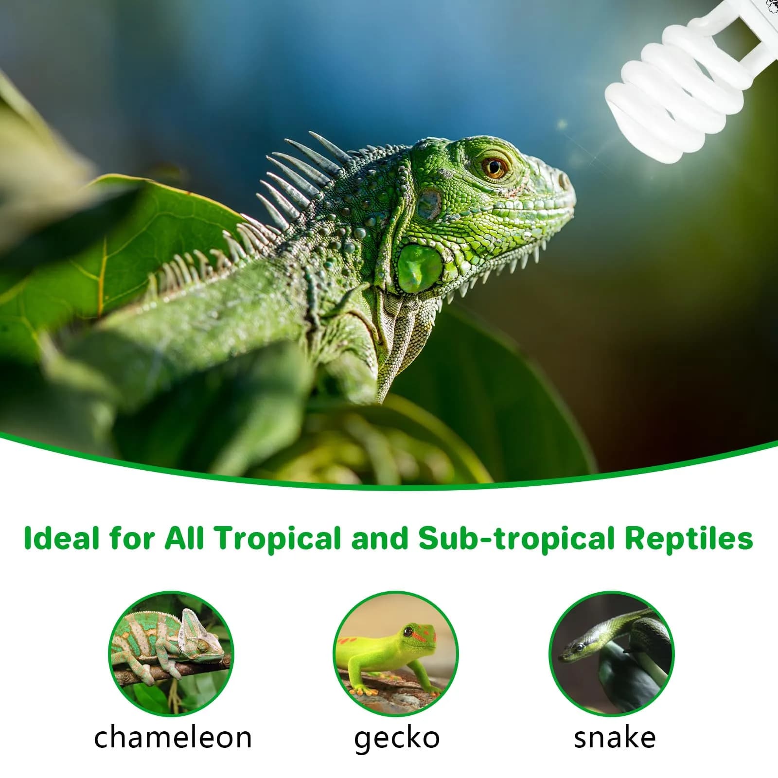 LUCKY HERP UVA UVB Reptile Light 5.0 23W 5% UVB 30% UVA 1265 Lumens | Essential for Reptile Health & Growth - view 7