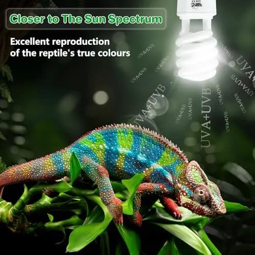 LUCKY HERP UVA UVB Reptile Light 5.0 23W 5% UVB 30% UVA 1265 Lumens | Essential for Reptile Health & Growth thumbnail 2