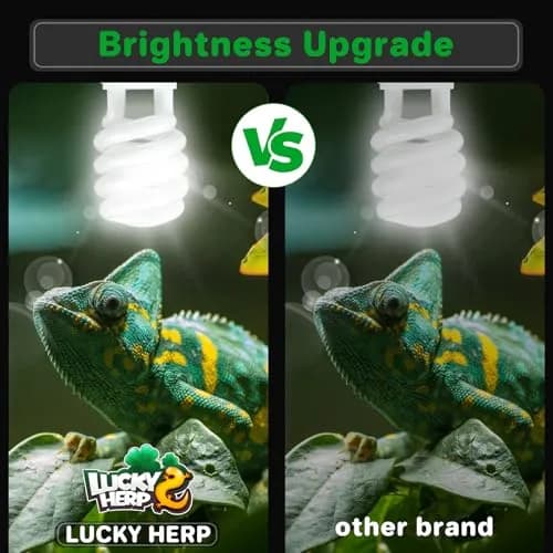 LUCKY HERP UVA UVB Reptile Light 5.0 23W 5% UVB 30% UVA 1265 Lumens | Essential for Reptile Health & Growth thumbnail 3