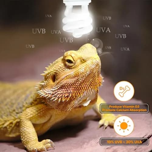 LUCKY HERP UVA UVB Reptile Light 10.0 15W Compact Fluorescent Lamp | Simulates Desert Sunlight for Bearded Dragons, Lizards, Tortoises thumbnail 6