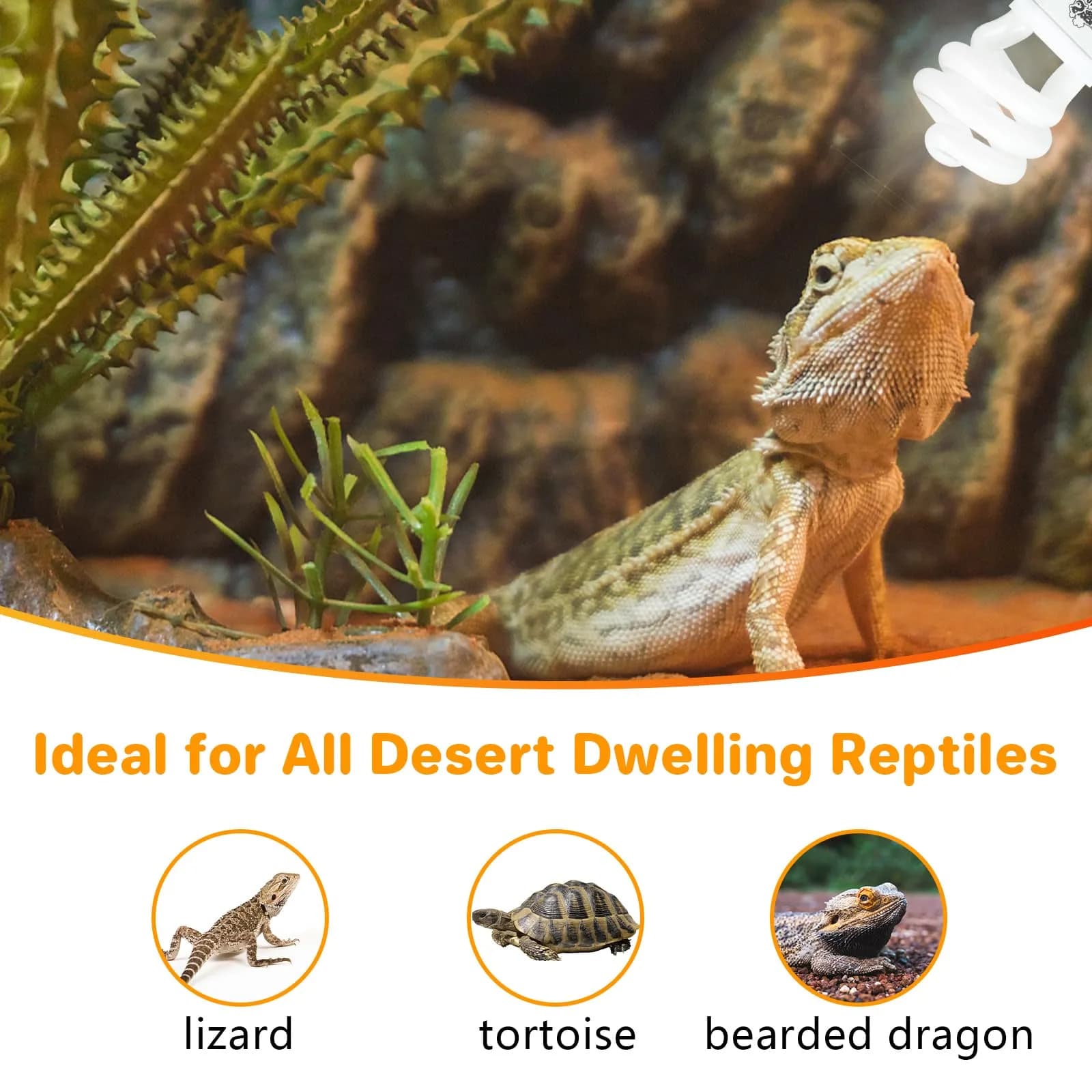 LUCKY HERP UVA UVB Reptile Light 10.0 15W Compact Fluorescent Lamp | Simulates Desert Sunlight for Bearded Dragons, Lizards, Tortoises - view 7