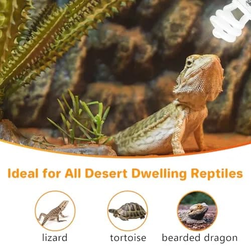 LUCKY HERP UVA UVB Reptile Light 10.0 15W Compact Fluorescent Lamp | Simulates Desert Sunlight for Bearded Dragons, Lizards, Tortoises thumbnail 7