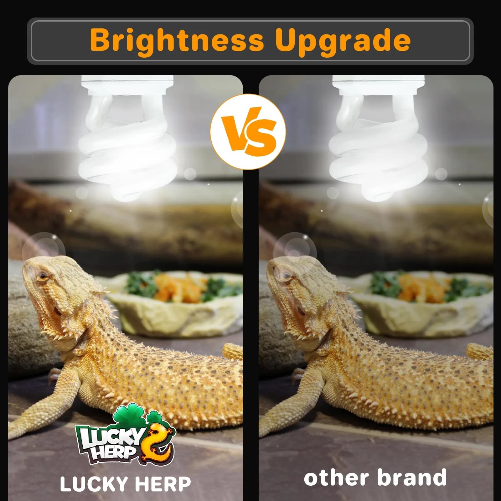 LUCKY HERP UVA UVB Reptile Light 10.0 15W Compact Fluorescent Lamp | Simulates Desert Sunlight for Bearded Dragons, Lizards, Tortoises - view 3