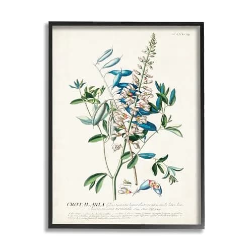 Stupell Industries Botanical Plant Illustration Flowers and Leaves Vintage Design 16 x 20 | Textured Framed Wall Art thumbnail 1