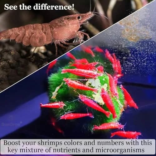 SunGrow Shrimp Calcium White Powder 1.8 oz (51 g) | Essential Mineral for Freshwater Shrimp thumbnail 4