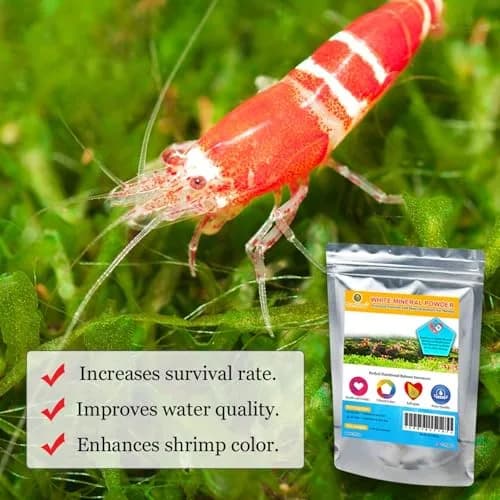SunGrow Shrimp Calcium White Powder 1.8 oz (51 g) | Essential Mineral for Freshwater Shrimp thumbnail 3