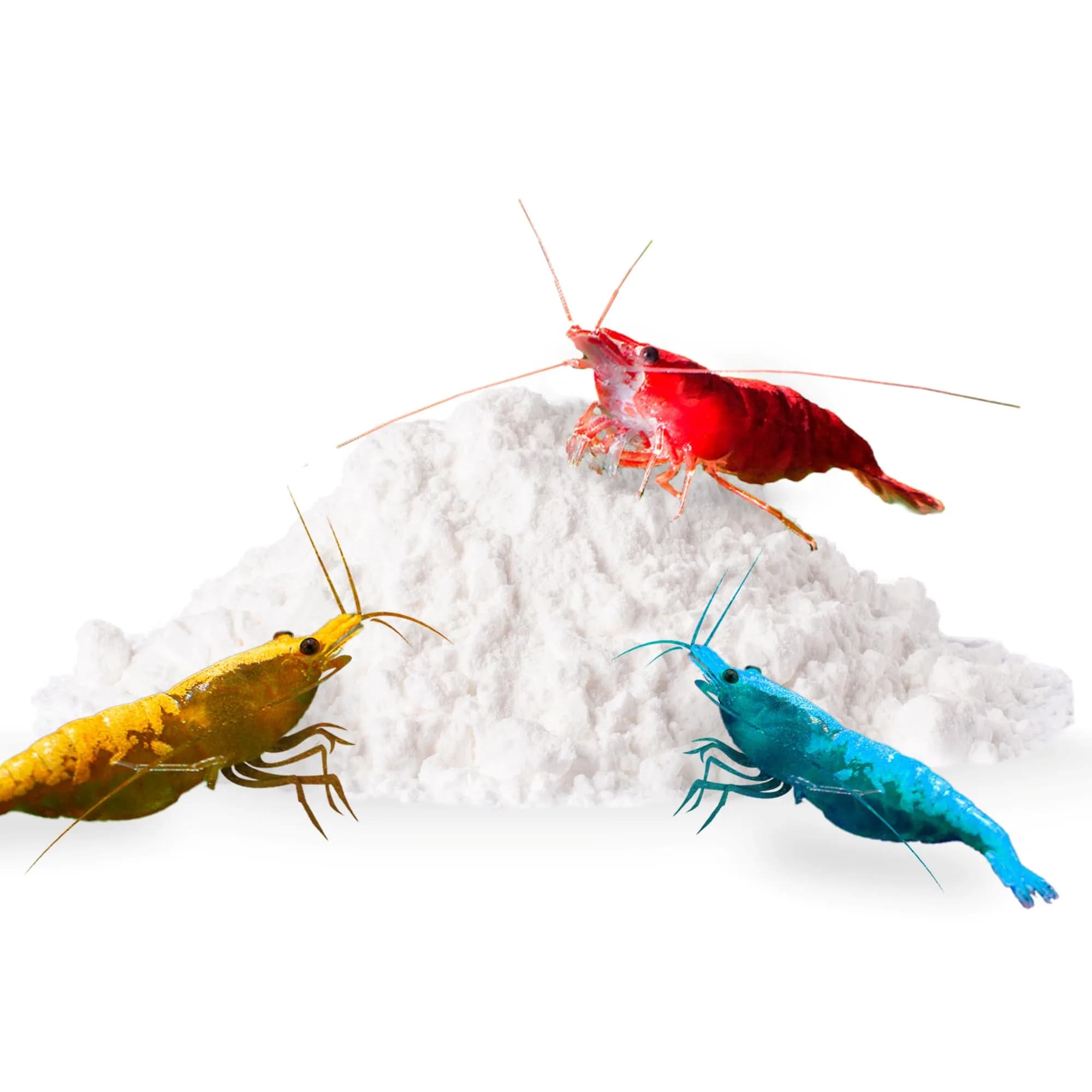 SunGrow Shrimp Calcium White Powder 1.8 oz (51 g) | Essential Mineral for Freshwater Shrimp - main product image