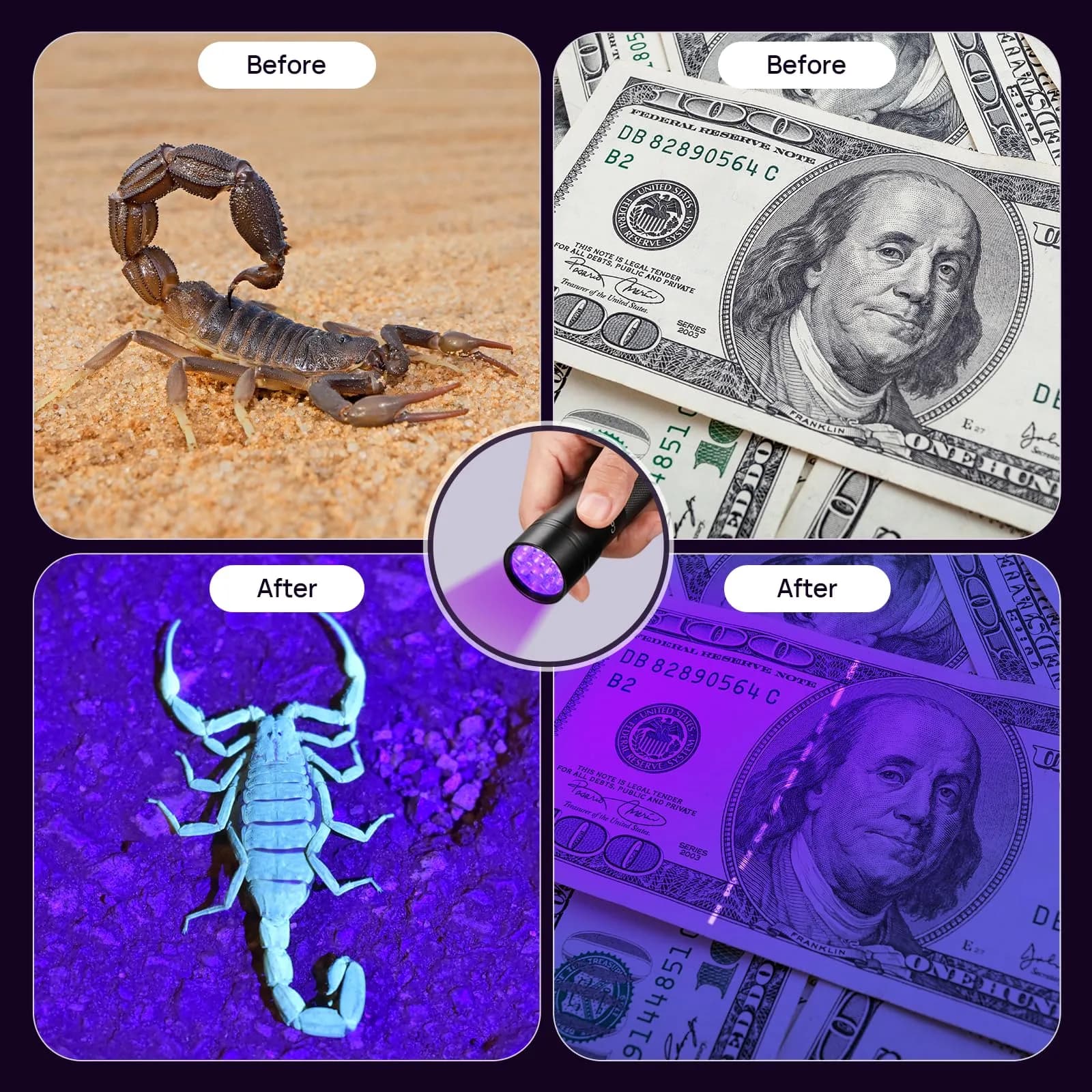 Consciot 12 LED UV Blacklight Flashlight 395nm | Pet Urine Detector for Dry Stains & Scorpions - view 6