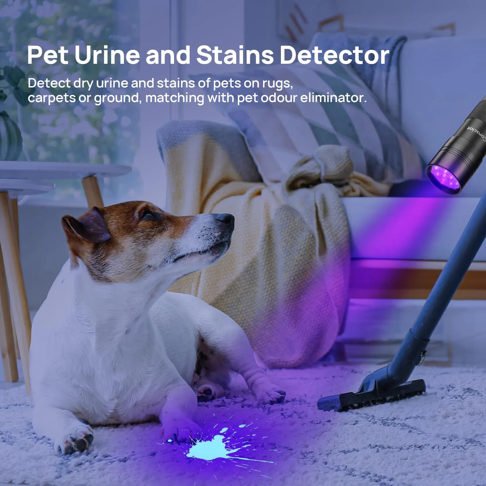 Consciot 12 LED UV Blacklight Flashlight 395nm | Pet Urine Detector for Dry Stains & Scorpions - view 4