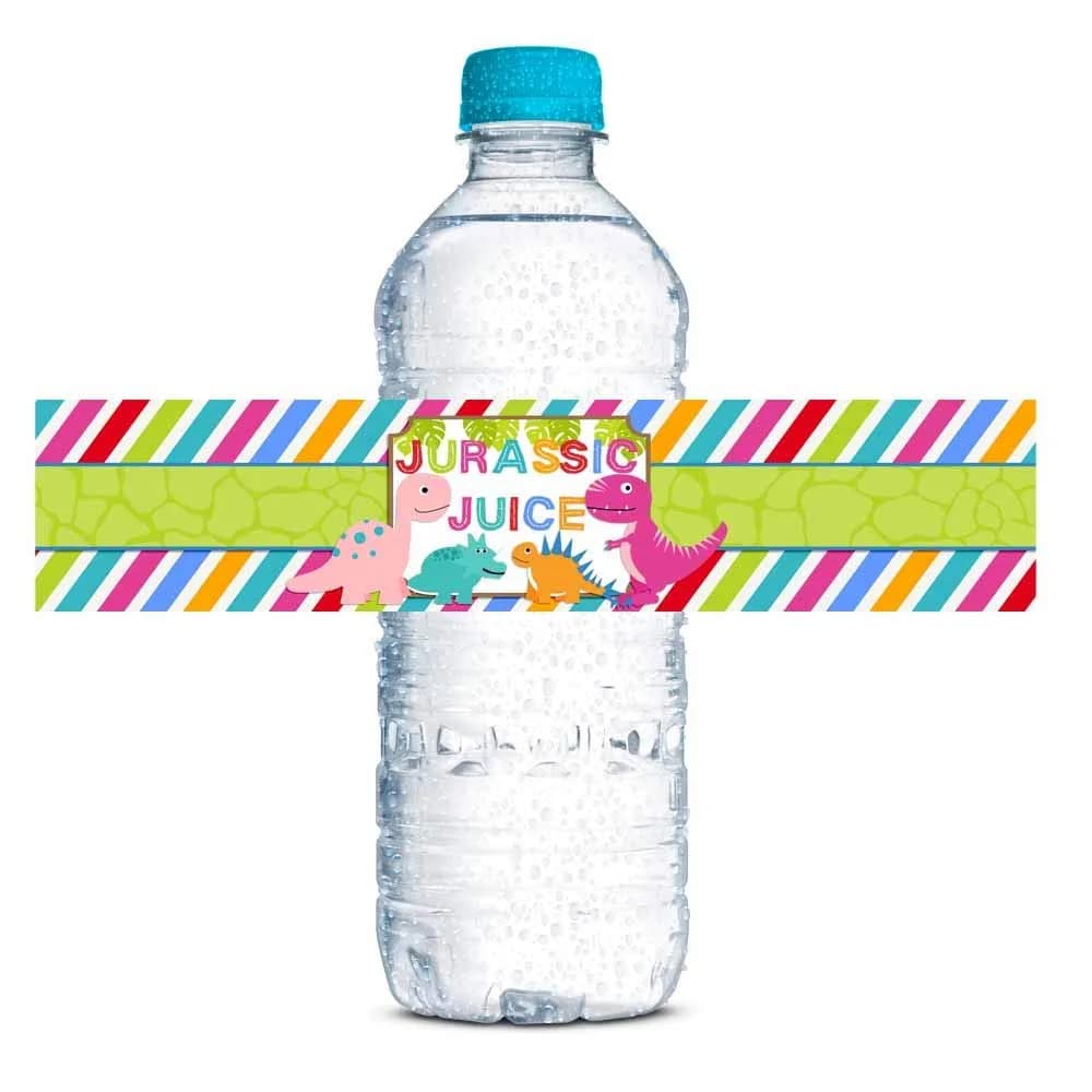 Amanda Creation Dinosaur Birthday Water Bottle Stickers | Waterproof 20 Labels for Girls, 1.75" x 8.5"