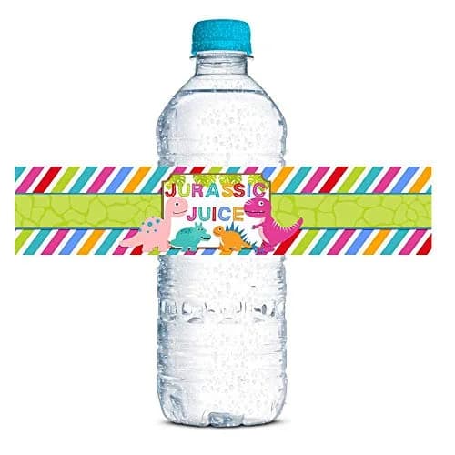 Amanda Creation Dinosaur Birthday Water Bottle Stickers | Waterproof 20 Labels for Girls, 1.75" x 8.5" thumbnail 1