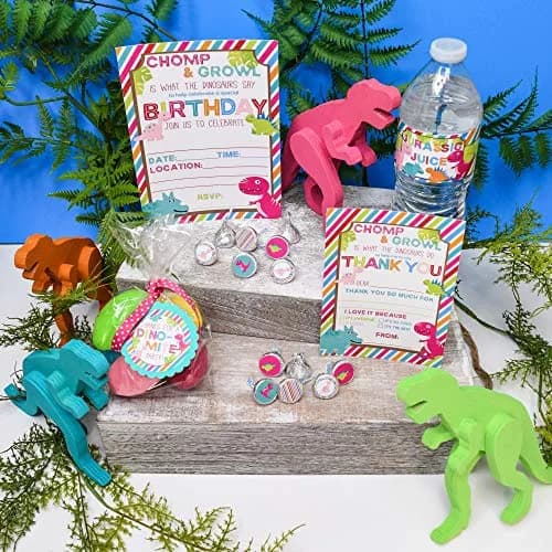 Amanda Creation Dinosaur Birthday Water Bottle Stickers | Waterproof 20 Labels for Girls, 1.75" x 8.5" thumbnail 6