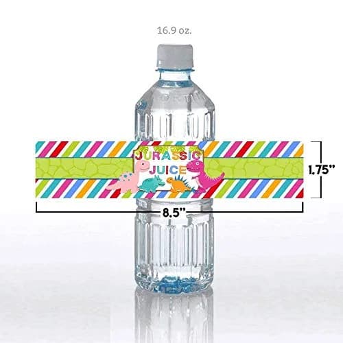 Amanda Creation Dinosaur Birthday Water Bottle Stickers | Waterproof 20 Labels for Girls, 1.75" x 8.5" thumbnail 7