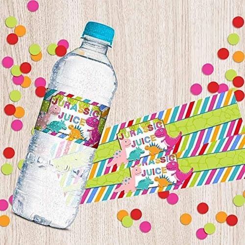 Amanda Creation Dinosaur Birthday Water Bottle Stickers | Waterproof 20 Labels for Girls, 1.75" x 8.5" thumbnail 8