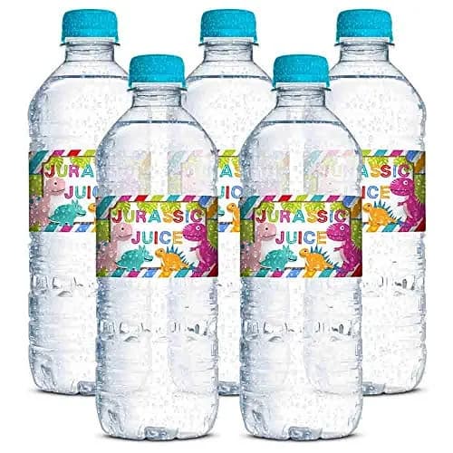 Amanda Creation Dinosaur Birthday Water Bottle Stickers | Waterproof 20 Labels for Girls, 1.75" x 8.5" thumbnail 9