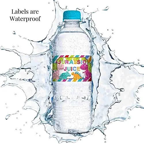 Amanda Creation Dinosaur Birthday Water Bottle Stickers | Waterproof 20 Labels for Girls, 1.75" x 8.5" thumbnail 3