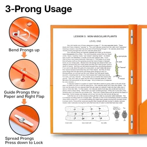 Dunwell Plastic 2-Pocket Folders with 3 Prongs Assorted 6 Pack | Durable, Water-Resistant, Ideal for School & Office thumbnail 4