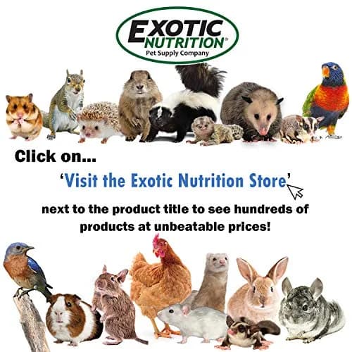 Exotic Nutrition Squirrel Complete 6.8 kg (15 lb) | Healthy Natural Food for Pet & Captive Squirrels thumbnail 7