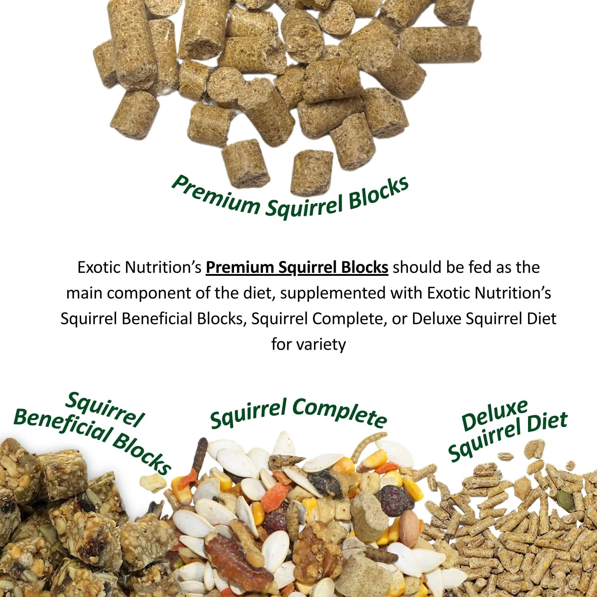 Exotic Nutrition Squirrel Complete 6.8 kg (15 lb) | Healthy Natural Food for Pet & Captive Squirrels — 15 Pound