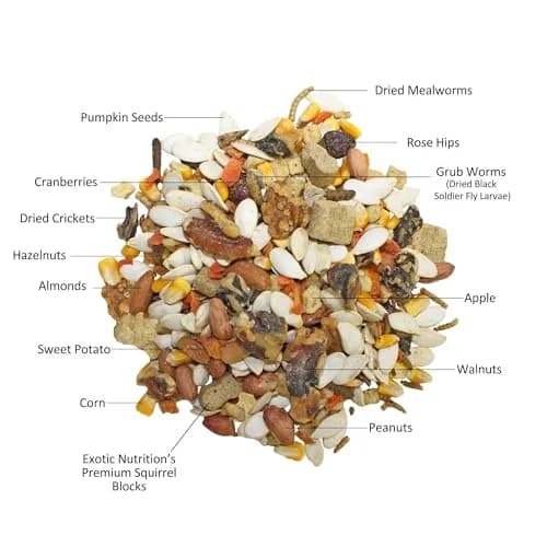 Exotic Nutrition Squirrel Complete 6.8 kg (15 lb) | Healthy Natural Food for Pet & Captive Squirrels thumbnail 2