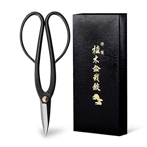 Wazakura Ashinaga Bonsai Pruning Scissors 200mm (7.87in) | Precision Carbon Steel Cut for Delicate Bonsai & Floristry thumbnail 1