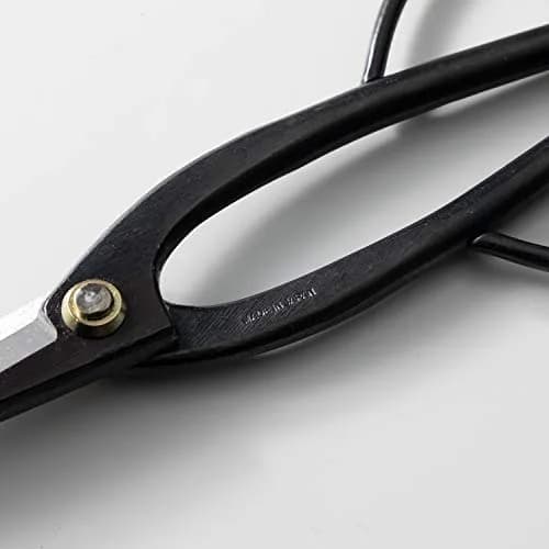 Wazakura Ashinaga Bonsai Pruning Scissors 200mm (7.87in) | Precision Carbon Steel Cut for Delicate Bonsai & Floristry thumbnail 5